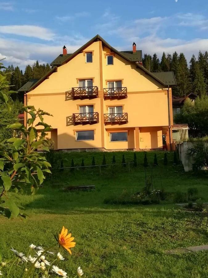 Гірська Палітра Slavske Luaran gambar